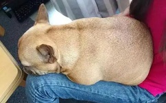 色yy视频直播间频道